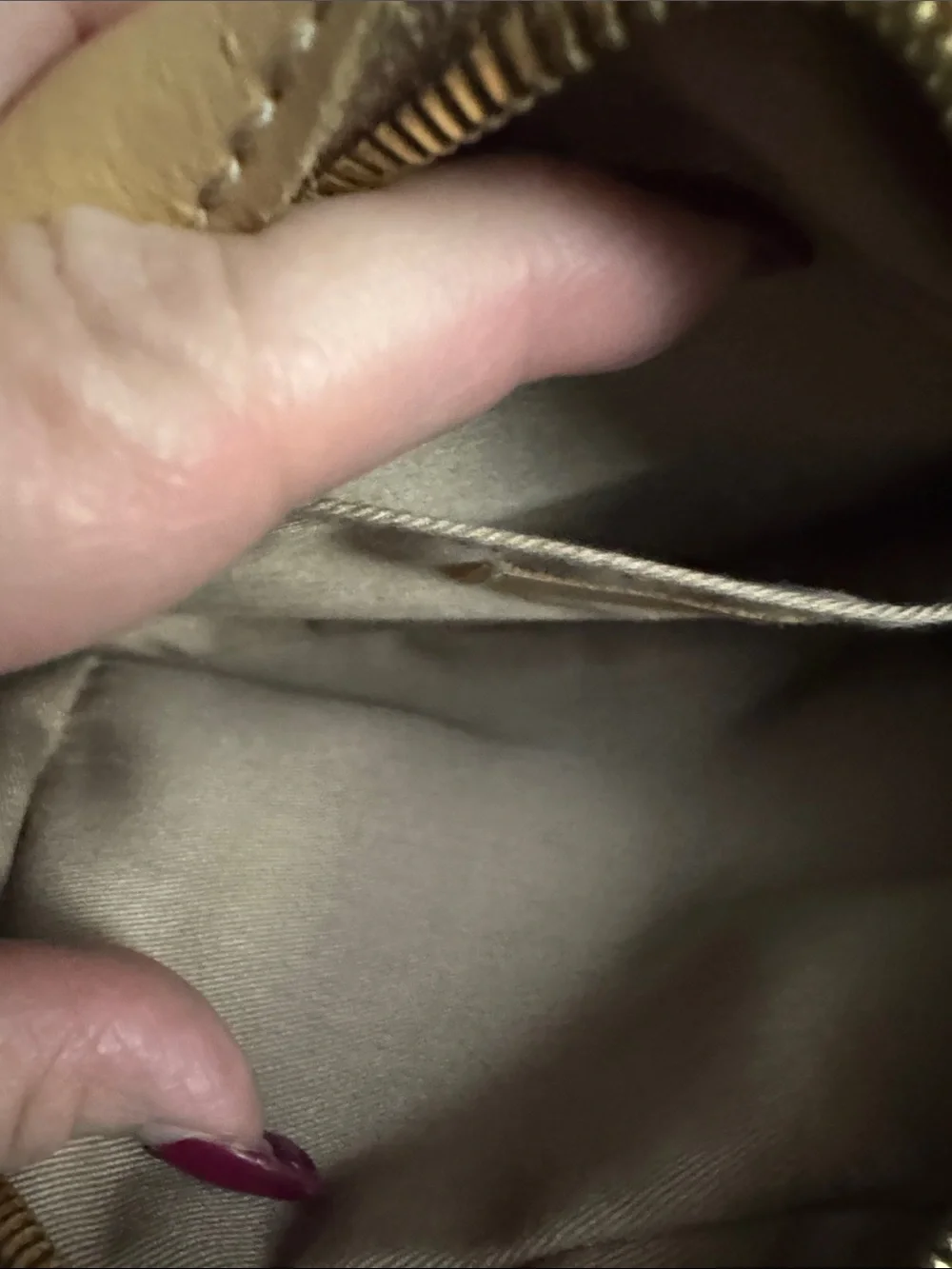 J. Crew Nude Beige Leather Crossbody Bag